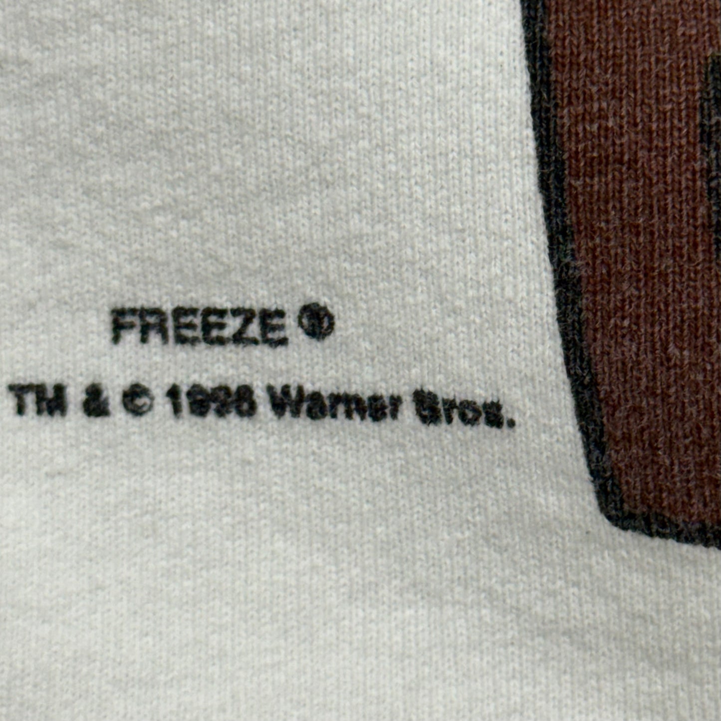 Looney Tunes Taz, 1996 Freeze Crewneck Sweatshirt, Size: Large